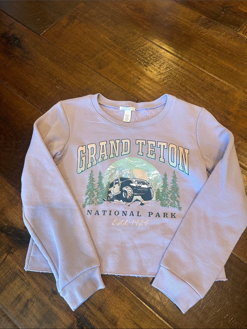 Full Tilt Lilac Grand Teton Graphic Long Sleeve Tee - Kids